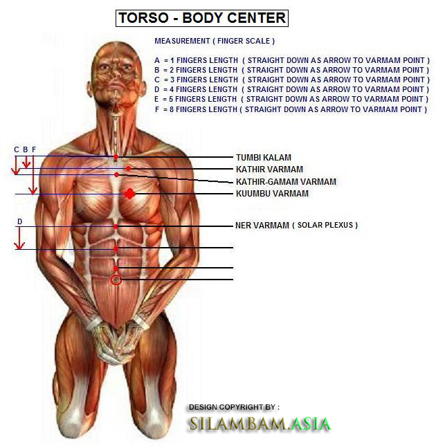 Varmam Point Torso Varmam 1
