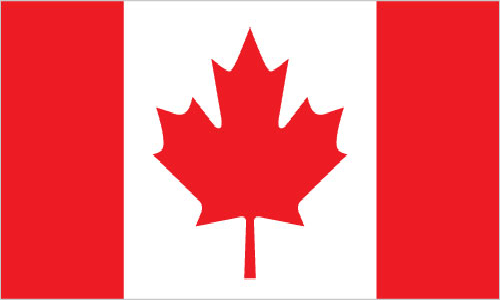 Silambam National Committee Canada Flag