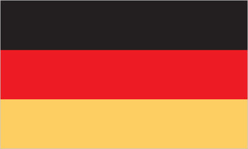 Silambam National Committee Germany Flag