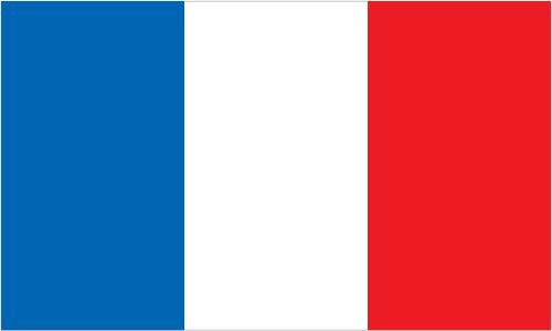 Silambam National Committee France Flag