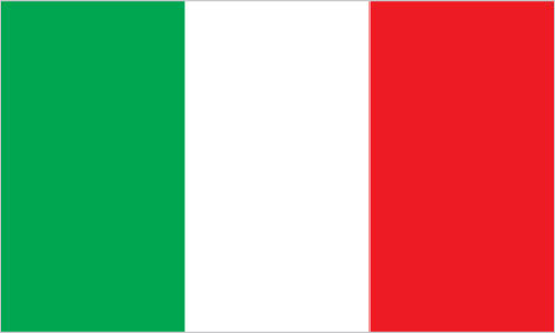 Silambam National Committee Italy Flag