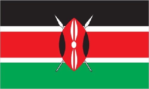 Silambam National Committee Kenya Flag