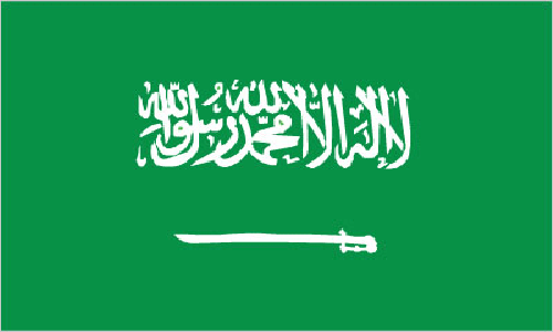 Silambam National Committee Saudi Arabia Flag